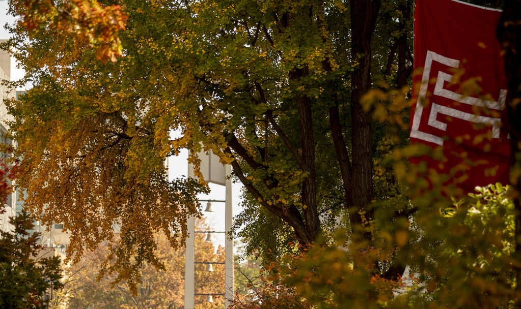 Background for the 'File a Title IX Complaint' link block