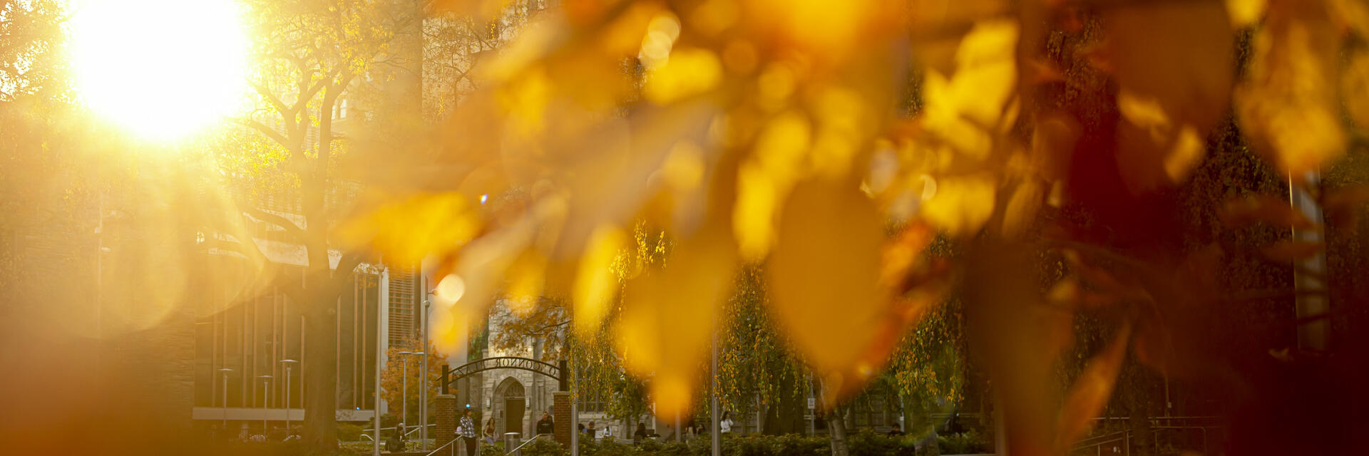 Temple campus in the fall