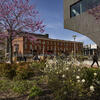 Spring on campus